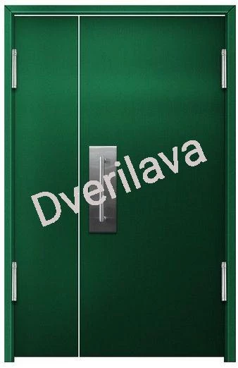 Купить Входная техническая дверь RAL 6028