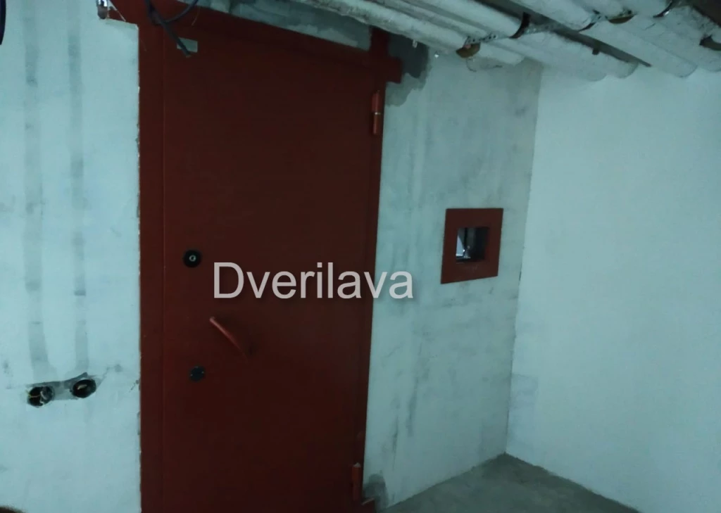 metallicheskaya-dver-dlya-hraneniy